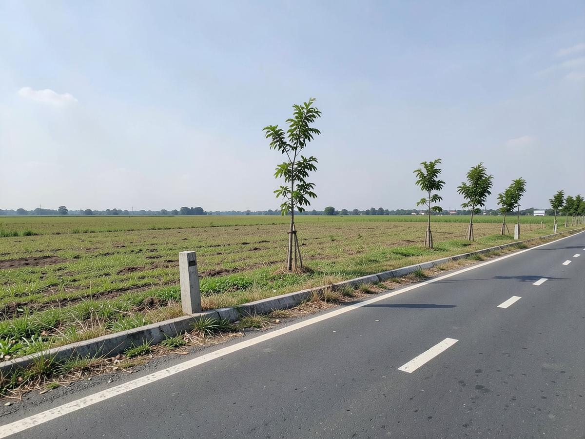 ที่ดินเปล่าติดถนนลาดยางพร้อมป้ายประกาศขายในภาคอีสาน